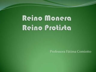 Professora Fátima Comiotto
 