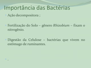 Importância das Bactérias
 Ação decompositora ;


 Fertilização do Solo – gênero Rhizobium – fixam o
 nitrogênio.

 Digestão da Celulose – bactérias que vivem no
 estômago de ruminantes.



.
 