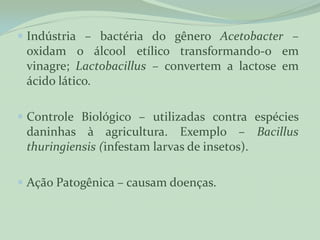 Indústria – bactéria do gênero Acetobacter –
  oxidam o álcool etílico transformando-o em
  vinagre; Lactobacillus – convertem a lactose em
  ácido lático.

 Controle Biológico – utilizadas contra espécies
  daninhas à agricultura. Exemplo – Bacillus
 thuringiensis (infestam larvas de insetos).

 Ação Patogênica – causam doenças.
 