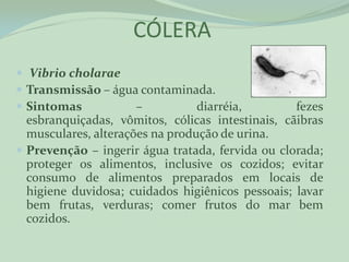 CÓLERA
 Vibrio cholarae
 Transmissão – água contaminada.
 Sintomas          –         diarréia,           fezes
  esbranquiçadas, vômitos, cólicas intestinais, cãibras
  musculares, alterações na produção de urina.
 Prevenção – ingerir água tratada, fervida ou clorada;
  proteger os alimentos, inclusive os cozidos; evitar
  consumo de alimentos preparados em locais de
  higiene duvidosa; cuidados higiênicos pessoais; lavar
  bem frutas, verduras; comer frutos do mar bem
  cozidos.
 