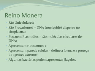 Reino Monera
 São Unicelulares;
 São Procariontes – DNA (nucleoide) disperso no
    citoplasma;
   Possuem Plasmídios – são moléculas circulares de
    DNA;
   Apresentam ribossomos ;
   Apresentam parede celular – define a forma e a protege
    de agentes externos;
   Algumas bactérias podem apresentar flagelos.
 