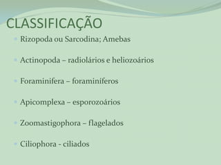 CLASSIFICAÇÃO
  Rizopoda ou Sarcodina; Amebas

  Actinopoda – radiolários e heliozoários

  Foraminifera – foraminíferos

  Apicomplexa – esporozoários

  Zoomastigophora – flagelados

  Ciliophora - ciliados
 