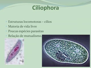Ciliophora

 Estruturas locomotoras – cílios
 Maioria de vida livre
 Poucas espécies parasitas
 Relação de mutualismo.
 