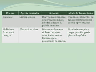 Doença      Agente causador        Sintomas          Modo de Transmissão
Giardíase     Giardia lamblia    Diarréia acompanhada Ingestão de alimentos ou
                                 de dores abdominais, água contaminados por
                                 devidas as lesões na cistos de protozoários
                                 parede intestinal
Malária ou    Plasmodium vivax   Febres e mal-estares   Picada do mosquito-
febre terçã                      cíclicos, devidos a    prego, pernilongo do
benigna                          substâncias tóxicas    gênero Anopheles.
                                 liberadas pelo
                                 protozoário no sangue.
 