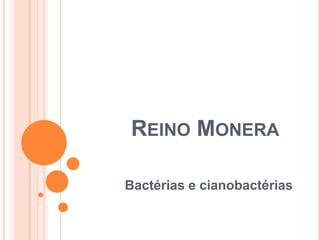 REINO MONERA
Bactérias e cianobactérias
 