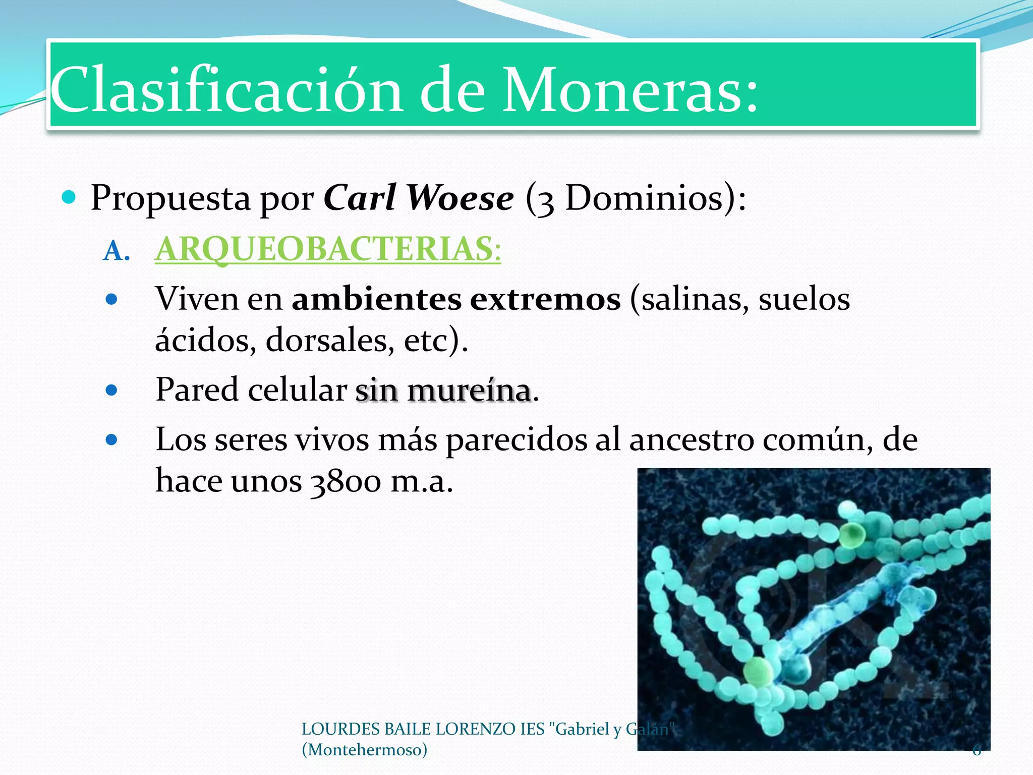 Reino moneras | PPTX