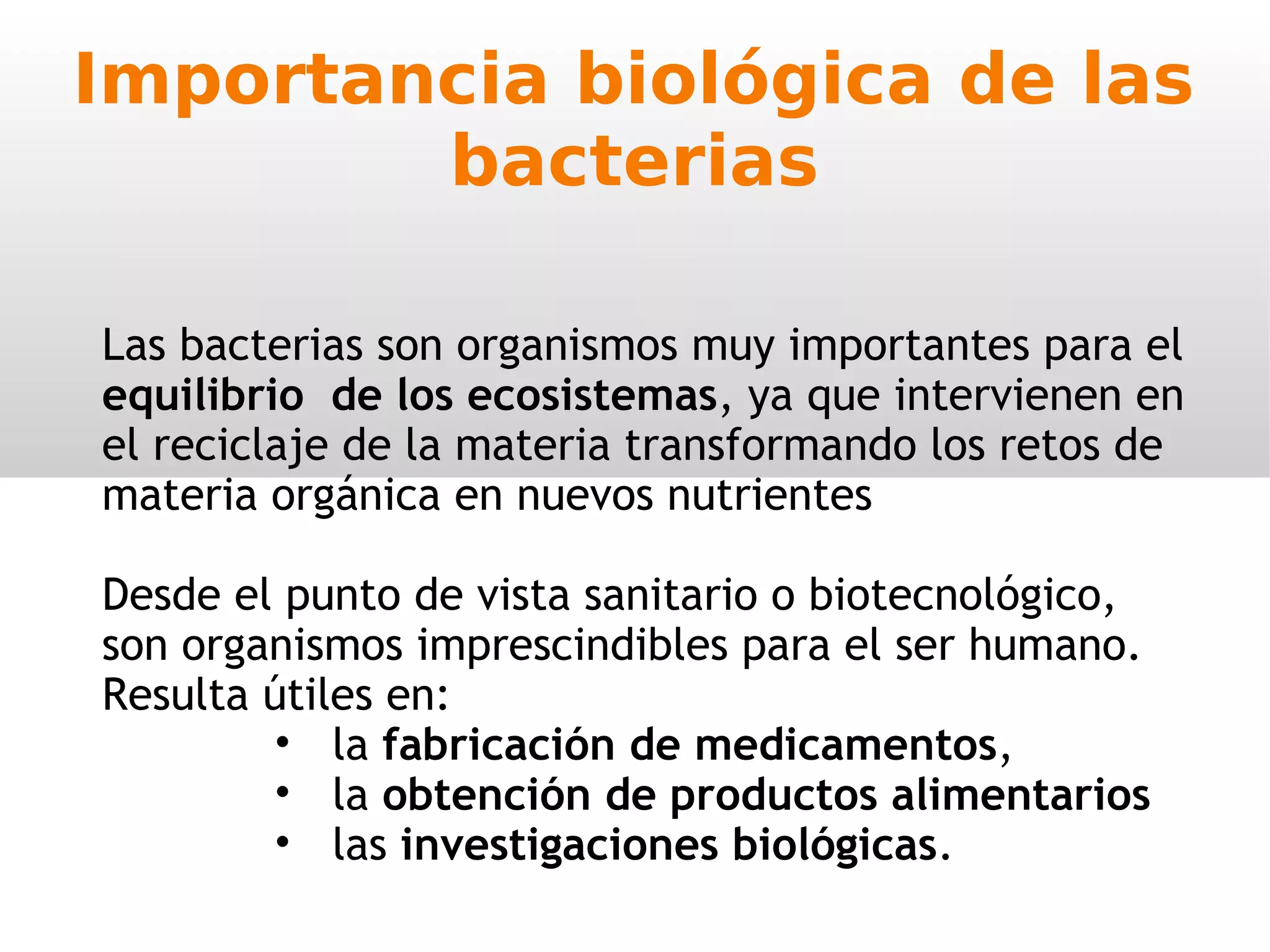 Reino Moneras 1ºESO | PPT