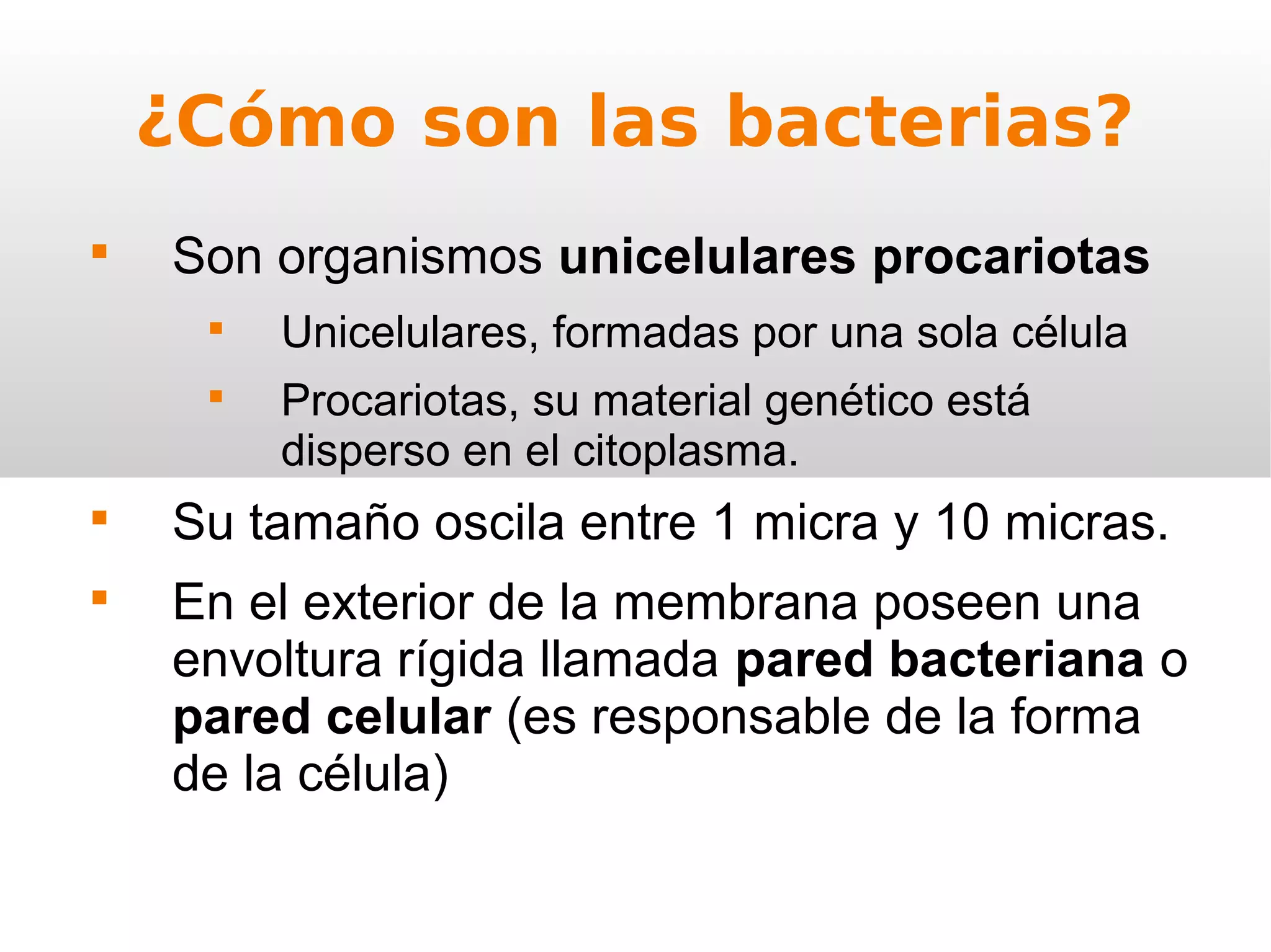Reino Moneras 1ºESO | PPT