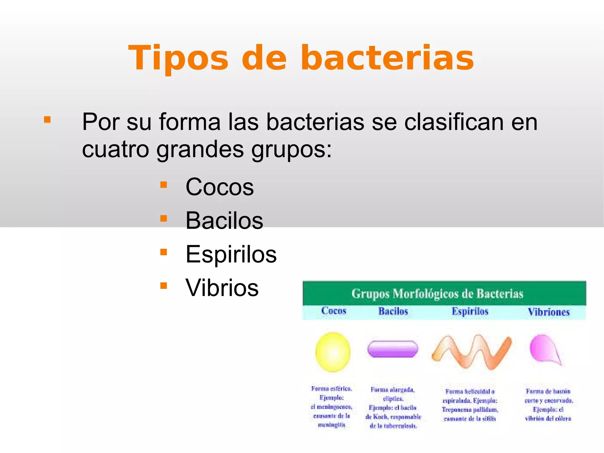 Reino Moneras 1ºESO | PPT