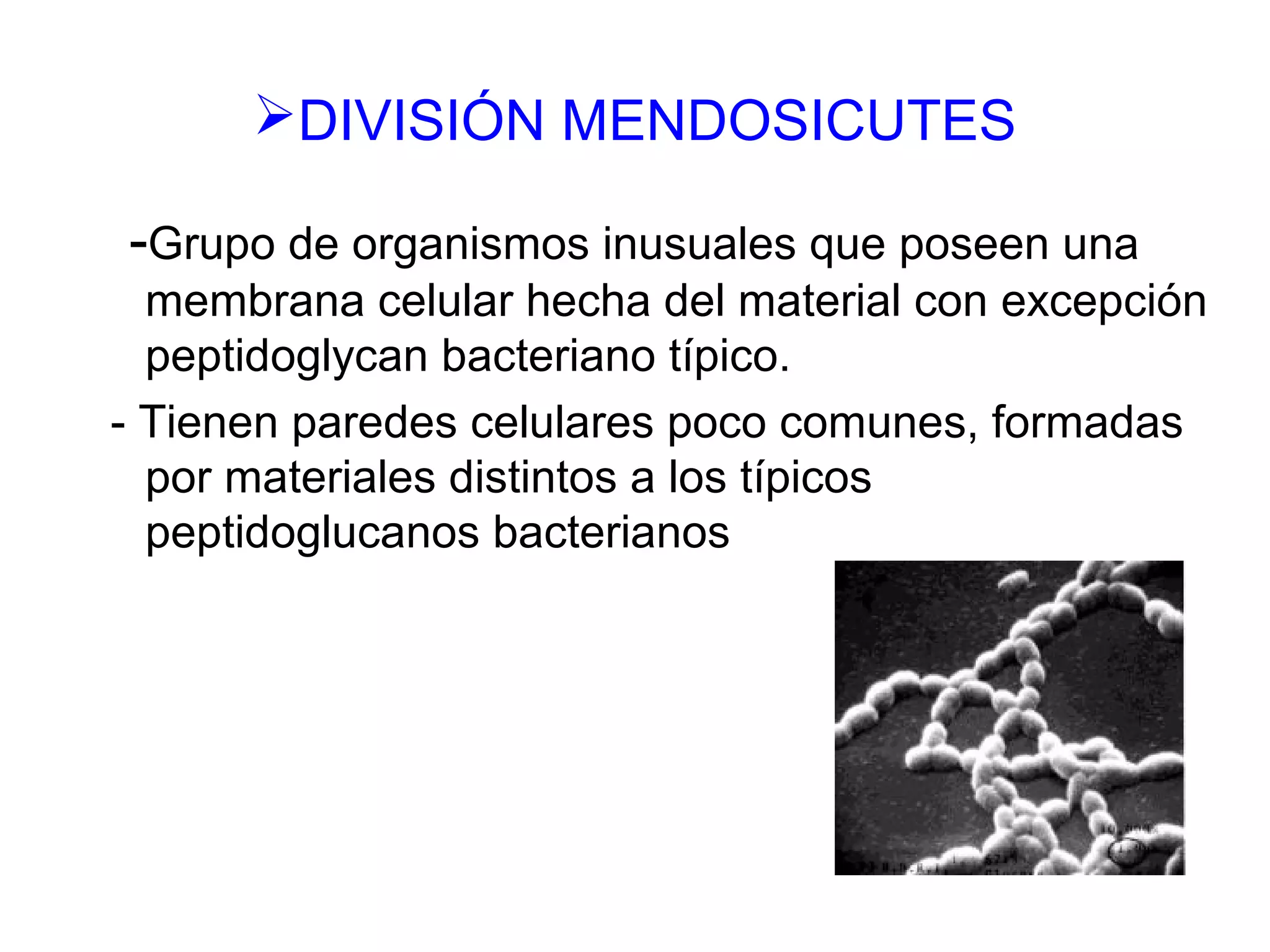 Reinomoneras 5to | PPT