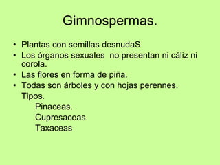 Gimnospermas. <ul><li>Plantas con semillas desnudaS </li></ul><ul><li>Los órganos sexuales  no presentan ni cáliz ni corol...