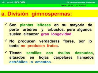 a. División gimnospermas:
 Son plantas leñosas en su mayoría de
porte arbóreo y arbustos, pero algunos
suelen alcanzar gr...