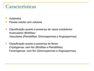 Características Autótrofos Parede celular com celulose Classificação quanto à presença de vasos condutores: Avasculares (Briófitas) Vasculares (Pteridófitas, Gimnospermas e Angiospermas) Classificação quanto à presença de flores: Criptógamas: sem flor (Briófitas e Pteridófitas) Fanerógamas: com flor (Gimnospermas e Angiospermas) 