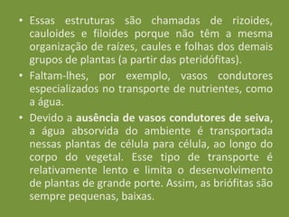 • Essas estruturas são chamadas de rizoides,
  cauloides e filoides porque não têm a mesma
  organização de raízes, caules e folhas dos demais
  grupos de plantas (a partir das pteridófitas).
• Faltam-lhes, por exemplo, vasos condutores
  especializados no transporte de nutrientes, como
  a água.
• Devido a ausência de vasos condutores de seiva,
  a água absorvida do ambiente é transportada
  nessas plantas de célula para célula, ao longo do
  corpo do vegetal. Esse tipo de transporte é
  relativamente lento e limita o desenvolvimento
  de plantas de grande porte. Assim, as briófitas são
  sempre pequenas, baixas.
 