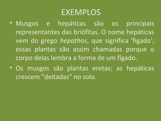 EXEMPLOS
• Musgos e hepáticas são os principais
  representantes das briófitas. O nome hepáticas
  vem do grego hepathos, que significa 'fígado';
  essas plantas são assim chamadas porque o
  corpo delas lembra a forma de um fígado.
• Os musgos são plantas eretas; as hepáticas
  crescem "deitadas" no solo.
 