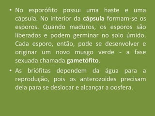 • No esporófito possui uma haste e uma
  cápsula. No interior da cápsula formam-se os
  esporos. Quando maduros, os esporos são
  liberados e podem germinar no solo úmido.
  Cada esporo, então, pode se desenvolver e
  originar um novo musgo verde - a fase
  sexuada chamada gametófito.
• As briófitas dependem da água para a
  reprodução, pois os anterozoides precisam
  dela para se deslocar e alcançar a oosfera.
 