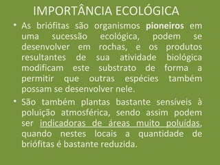 IMPORTÂNCIA ECOLÓGICA
• As briófitas são organismos pioneiros em
  uma sucessão ecológica, podem se
  desenvolver em rochas, e os produtos
  resultantes de sua atividade biológica
  modificam este substrato de forma a
  permitir que outras espécies também
  possam se desenvolver nele.
• São também plantas bastante sensíveis à
  poluição atmosférica, sendo assim podem
  ser indicadoras de áreas muito poluídas,
  quando nestes locais a quantidade de
  briófitas é bastante reduzida.
 