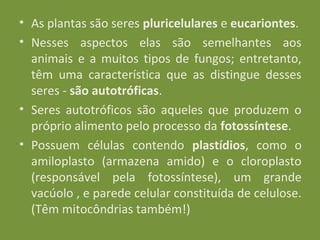 • As plantas são seres pluricelulares e eucariontes.
• Nesses aspectos elas são semelhantes aos
  animais e a muitos tipos de fungos; entretanto,
  têm uma característica que as distingue desses
  seres - são autotróficas.
• Seres autotróficos são aqueles que produzem o
  próprio alimento pelo processo da fotossíntese.
• Possuem células contendo plastídios, como o
  amiloplasto (armazena amido) e o cloroplasto
  (responsável pela fotossíntese), um grande
  vacúolo , e parede celular constituída de celulose.
  (Têm mitocôndrias também!)
 