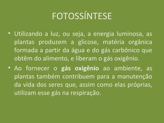 FOTOSSÍNTESE
• Utilizando a luz, ou seja, a energia luminosa, as
  plantas produzem a glicose, matéria orgânica
  formada a partir da água e do gás carbônico que
  obtêm do alimento, e liberam o gás oxigênio.
• Ao fornecer o gás oxigênio ao ambiente, as
  plantas também contribuem para a manutenção
  da vida dos seres que, assim como elas próprias,
  utilizam esse gás na respiração.
 