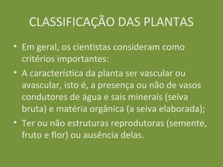 CLASSIFICAÇÃO DAS PLANTAS
• Em geral, os cientistas consideram como
  critérios importantes:
• A característica da planta ser vascular ou
  avascular, isto é, a presença ou não de vasos
  condutores de água e sais minerais (seiva
  bruta) e matéria orgânica (a seiva elaborada);
• Ter ou não estruturas reprodutoras (semente,
  fruto e flor) ou ausência delas.
 