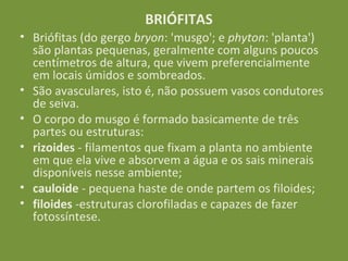 BRIÓFITAS
• Briófitas (do gergo bryon: 'musgo'; e phyton: 'planta')
  são plantas pequenas, geralmente com alguns poucos
  centímetros de altura, que vivem preferencialmente
  em locais úmidos e sombreados.
• São avasculares, isto é, não possuem vasos condutores
  de seiva.
• O corpo do musgo é formado basicamente de três
  partes ou estruturas:
• rizoides - filamentos que fixam a planta no ambiente
  em que ela vive e absorvem a água e os sais minerais
  disponíveis nesse ambiente;
• cauloide - pequena haste de onde partem os filoides;
• filoides -estruturas clorofiladas e capazes de fazer
  fotossíntese.
 