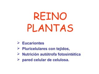 REINO
      PLANTAS
   Eucariontes
   Pluricelulares con tejidos,
   Nutrición autótrofa fotosintética
   pared celular de celulosa.
 