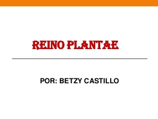 REINO PLANTAE
POR: BETZY CASTILLO

 