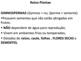 Reino Plantae 
GIMNOSPERMAS (Gymnos = nu; Sperma = semente) 
•Possuem sementes que não estão abrigadas em 
frutos; 
• NÃO dependem de água para reprodução; 
• Vivem em ambientes frios ou temperados; 
• Dotados de raízes, caule, folhas , FLORES SECAS e 
SEMENTES; 
 