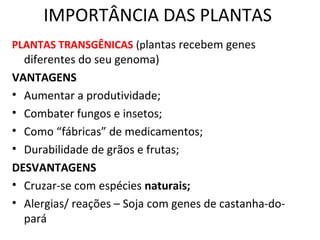 IMPORTÂNCIA DAS PLANTAS 
PLANTAS TRANSGÊNICAS (plantas recebem genes 
diferentes do seu genoma) 
VANTAGENS 
• Aumentar a produtividade; 
• Combater fungos e insetos; 
• Como “fábricas” de medicamentos; 
• Durabilidade de grãos e frutas; 
DESVANTAGENS 
• Cruzar-se com espécies naturais; 
• Alergias/ reações – Soja com genes de castanha-do-pará 
 