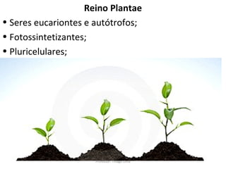 Reino Plantae 
• Seres eucariontes e autótrofos; 
• Fotossintetizantes; 
• Pluricelulares; 
• 
Professor: Thiago Lima 
 