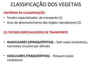 CLASSIFICAÇÃO DOS VEGETAIS 
CRITÉRIOS DE CLASSIFICAÇÃO 
• Tecidos especializados de transporte (1) 
• Grau de desenvolvimento dos órgãos reprodutores (2) 
(1) TECIDOS ESPECIALIZADOS DE TRANSPORTE 
• AVASCULARES (ATRAQUEÓFITAS) – Sem vasos condutores, 
nutrientes circulam por difusão 
• VASCULARES (TRAQUEÓFITAS) - Possuem vasos 
condutores 
 