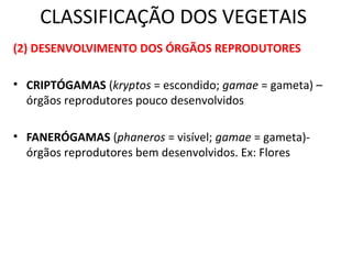 CLASSIFICAÇÃO DOS VEGETAIS 
(2) DESENVOLVIMENTO DOS ÓRGÃOS REPRODUTORES 
• CRIPTÓGAMAS (kryptos = escondido; gamae = gameta) – 
órgãos reprodutores pouco desenvolvidos 
• FANERÓGAMAS (phaneros = visível; gamae = gameta)- 
órgãos reprodutores bem desenvolvidos. Ex: Flores 
 