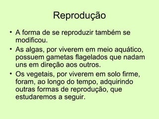 Reprodução
• A forma de se reproduzir também se
modificou.
• As algas, por viverem em meio aquático,
possuem gametas flagelados que nadam
uns em direção aos outros.
• Os vegetais, por viverem em solo firme,
foram, ao longo do tempo, adquirindo
outras formas de reprodução, que
estudaremos a seguir.
 