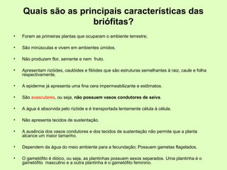 Quais são as principais características das
briófitas?
• Foram as primeiras plantas que ocuparam o ambiente terrestre;
• São minúsculas e vivem em ambientes úmidos.
• Não produzem flor, semente e nem fruto.
• Apresentam rizóides, caulóides e filóides que são estruturas semelhantes à raiz, caule e folha
respectivamente.
• A epiderme já apresenta uma fina cera impermeabilizante e estômatos.
• São avasculares, ou seja, não possuem vasos condutores de seiva.
• A água é absorvida pelo rizóide e é transportada lentamente célula à célula.
• Não apresenta tecidos de sustentação.
• A ausência dos vasos condutores e dos tecidos de sustentação não permite que a planta
alcance um maior tamanho.
• Dependem da água do meio ambiente para a fecundação; Possuem gametas flagelados.
• O gametófito é dióico, ou seja, as plantinhas possuem sexos separados. Uma plantinha é o
gametófito masculino e a outra plantinha é o gametófito feminino.
 