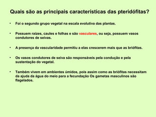 Quais são as principais características das pteridófitas?
• Foi o segundo grupo vegetal na escala evolutiva das plantas.
• Possuem raízes, caules e folhas e são vasculares, ou seja, possuem vasos
condutores de seivas.
• A presença da vascularidade permitiu a elas crescerem mais que as briófitas.
• Os vasos condutores de seiva são responsáveis pela condução e pela
sustentação do vegetal.
• Também vivem em ambientes úmidos, pois assim como as briófitas necessitam
da ajuda da água do meio para a fecundação Os gametas masculinos são
flagelados.
 