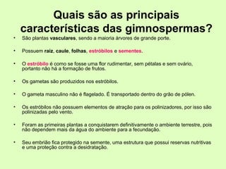 Quais são as principais
características das gimnospermas?
• São plantas vasculares, sendo a maioria árvores de grande porte.
• Possuem raiz, caule, folhas, estróbilos e sementes.
• O estróbilo é como se fosse uma flor rudimentar, sem pétalas e sem ovário,
portanto não há a formação de frutos.
• Os gametas são produzidos nos estróbilos.
• O gameta masculino não é flagelado. É transportado dentro do grão de pólen.
• Os estróbilos não possuem elementos de atração para os polinizadores, por isso são
polinizadas pelo vento.
• Foram as primeiras plantas a conquistarem definitivamente o ambiente terrestre, pois
não dependem mais da água do ambiente para a fecundação.
• Seu embrião fica protegido na semente, uma estrutura que possui reservas nutritivas
e uma proteção contra a desidratação.
 