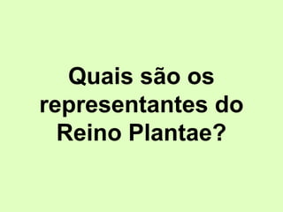 Quais são os
representantes do
Reino Plantae?
 