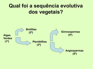 Qual foi a sequência evolutiva
dos vegetais?
Algas
Verdes
(1º)
Briófitas
(2º)
Pteridófitas
(3º)
Gimnospermas
(4º)
Angiospermas
(5º)
 