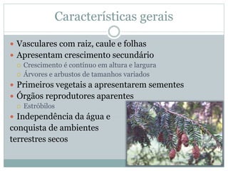 Características gerais
 Vasculares com raiz, caule e folhas
 Apresentam crescimento secundário
 Crescimento é contínuo em altura e largura
 Árvores e arbustos de tamanhos variados
 Primeiros vegetais a apresentarem sementes
 Órgãos reprodutores aparentes
 Estróbilos
 Independência da água e
conquista de ambientes
terrestres secos
 