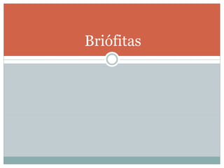 Briófitas
 