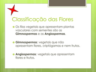 Classificação das Flores
 Os filos vegetais que apresentam plantas
vasculares com sementes são as
Gimnospermas e as Angiospermas.
 Gimnospermas: vegetais que não
apresentam flores, criptógamas e nem frutos.
 Angiospermas: vegetais que apresentam
flores e frutos.
 