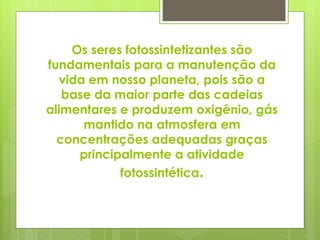 Os seres fotossintetizantes são
fundamentais para a manutenção da
vida em nosso planeta, pois são a
base da maior parte das cadeias
alimentares e produzem oxigênio, gás
mantido na atmosfera em
concentrações adequadas graças
principalmente a atividade
fotossintética.
 