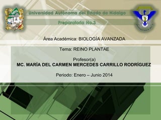 Área Académica: BIOLOGÍA AVANZADA
Tema: REINO PLANTAE
Profesor(a)
MC. MARÍA DEL CARMEN MERCEDES CARRILLO RODRÍGUEZ
Periodo: Enero – Junio 2014
 