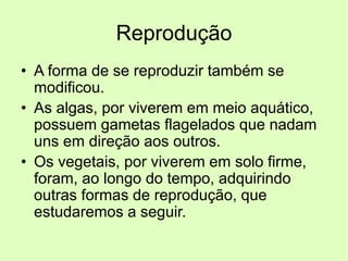 Reprodução
• A forma de se reproduzir também se
modificou.
• As algas, por viverem em meio aquático,
possuem gametas flagelados que nadam
uns em direção aos outros.
• Os vegetais, por viverem em solo firme,
foram, ao longo do tempo, adquirindo
outras formas de reprodução, que
estudaremos a seguir.
 