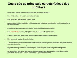 Quais são as principais características das
briófitas?
• Foram as primeiras plantas que ocuparam o ambiente terrestre;
• São minúsculas e vivem em ambientes úmidos.
• Não produzem flor, semente e nem fruto.
• Apresentam rizóides, caulóides e filóides que são estruturas semelhantes à raiz, caule e folha
respectivamente.
• A epiderme já apresenta uma fina cera impermeabilizante e estômatos.
• São avasculares, ou seja, não possuem vasos condutores de seiva.
• A água é absorvida pelo rizóide e é transportada lentamente célula à célula.
• Não apresenta tecidos de sustentação.
• A ausência dos vasos condutores e dos tecidos de sustentação não permite que a planta alcance
um maior tamanho.
• Dependem da água do meio ambiente para a fecundação; Possuem gametas flagelados.
• O gametófito é dióico, ou seja, as plantinhas possuem sexos separados. Uma plantinha é o
gametófito masculino e a outra plantinha é o gametófito feminino.
 