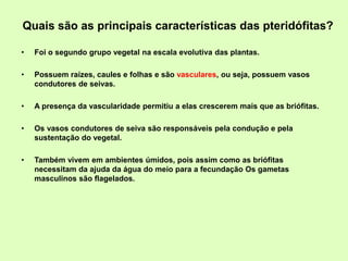 Quais são as principais características das pteridófitas?
• Foi o segundo grupo vegetal na escala evolutiva das plantas.
• Possuem raízes, caules e folhas e são vasculares, ou seja, possuem vasos
condutores de seivas.
• A presença da vascularidade permitiu a elas crescerem mais que as briófitas.
• Os vasos condutores de seiva são responsáveis pela condução e pela
sustentação do vegetal.
• Também vivem em ambientes úmidos, pois assim como as briófitas
necessitam da ajuda da água do meio para a fecundação Os gametas
masculinos são flagelados.
 