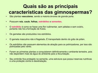 Quais são as principais
características das gimnospermas?
• São plantas vasculares, sendo a maioria árvores de grande porte.
• Possuem raiz, caule, folhas, estróbilos e sementes.
• O estróbilo é como se fosse uma flor rudimentar, sem pétalas e sem ovário,
portanto não há a formação de frutos.
• Os gametas são produzidos nos estróbilos.
• O gameta masculino não é flagelado. É transportado dentro do grão de pólen.
• Os estróbilos não possuem elementos de atração para os polinizadores, por isso são
polinizadas pelo vento.
• Foram as primeiras plantas a conquistarem definitivamente o ambiente terrestre, pois
não dependem mais da água do ambiente para a fecundação.
• Seu embrião fica protegido na semente, uma estrutura que possui reservas nutritivas
e uma proteção contra a desidratação.
 