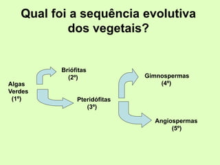 Qual foi a sequência evolutiva
dos vegetais?
Algas
Verdes
(1º)
Briófitas
(2º)
Pteridófitas
(3º)
Gimnospermas
(4º)
Angiospermas
(5º)
 