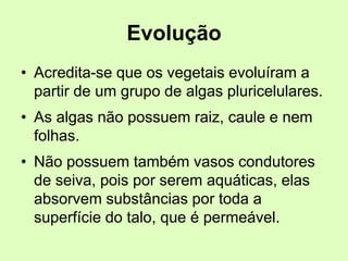 Evolução
• Acredita-se que os vegetais evoluíram a
partir de um grupo de algas pluricelulares.
• As algas não possuem raiz, caule e nem
folhas.
• Não possuem também vasos condutores
de seiva, pois por serem aquáticas, elas
absorvem substâncias por toda a
superfície do talo, que é permeável.
 
