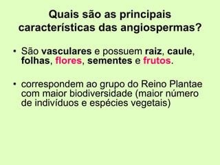 Quais são as principais
características das angiospermas?
• São vasculares e possuem raiz, caule,
folhas, flores, sementes e frutos.
• correspondem ao grupo do Reino Plantae
com maior biodiversidade (maior número
de indivíduos e espécies vegetais)
 